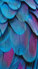 Close-up of vibrant blue and purple feathers, macro shot. Nature and texture concept