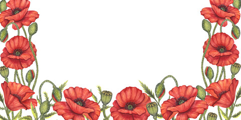 Red poppy flowers banner. Memorial Day, Anzac in Australia. Meadow wild blossom, field blooming. Hand drawn watercolor illustration isolated background. Template for invitations, wedding, festival.