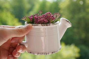 A man's hand holds an antique watering can with pink flowers.  