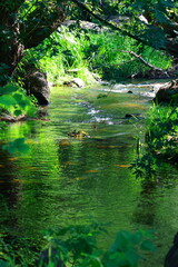 Ukraine_Korosten_Zhytomyrska_oblast_park_drevlyansky