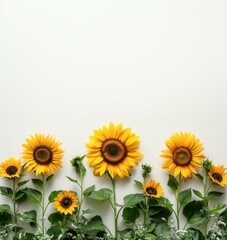 Fototapeta premium Sunflower flatlay background for product mockup scene creator. Extra space for text copy.