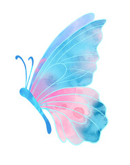 Watercolour painting colourful butterfly isolated on white background.