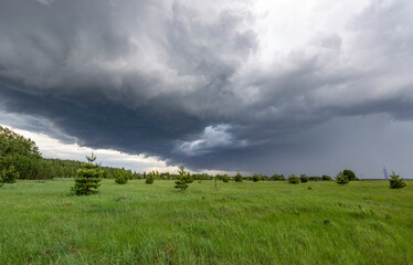 A vast, grassy field with scattered trees is dominated by a dramatic, dark cloud formation...
