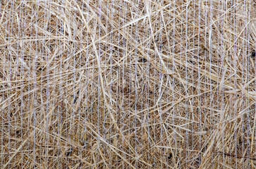 Hay bales. Hay bales are stacked on the field in large stacks. Harvesting in agriculture.