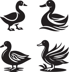 Set of ducks