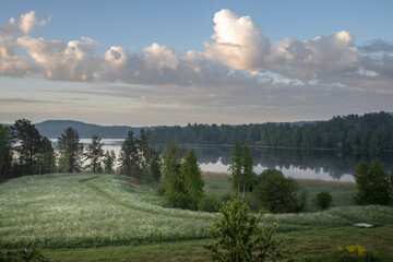 Fototapeta premium A beautiful lake surrounded by trees and a cloudy sky