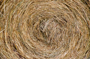 Hay bales. Hay bales are stacked on the field in large stacks. Harvesting in agriculture.