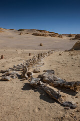 Egypt, Fayoum area, Wadi el Rayan, Whale Valley, Wadi el Hitan