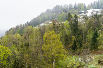 Mountain Landscape in Haslital - Switzerland