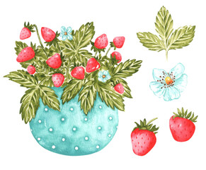 Strawberry harvest watercolor illustration set. Vase with polka dots, wild strawberries, flowers. Country style. Summer. Kitchen, cookbook. Strawberry bouquet. Illustrations isolated. For printing 