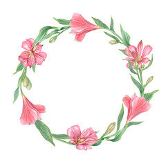 Pink alstroemeria flowers wreath. Floral round frame with flower, leaf. Botanical painting illustration isolated on white background. Alstromeria template with empty space for text. For invitation