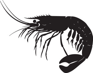 illustration of shrimp