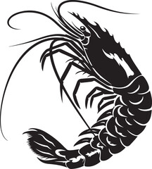 illustration of shrimp
