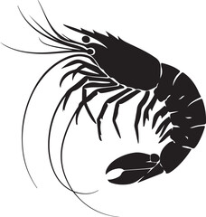 illustration of shrimp