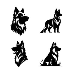 germen shepherd dog isolated on white background