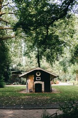 Quaint small house surrounded by lush greenery in a serene park setting.