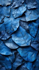 Obraz premium Beautiful leafs in blue tones, texture.
