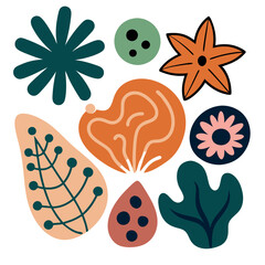 Doodle and abstract nature icons on isolated white background. Summer collection, unusual organic shapes. Includes floral art and texture bundle. Vector set
