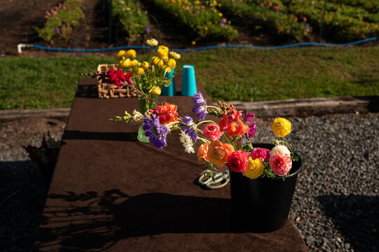 Buckets of handpicked flowers on a table in the garden 