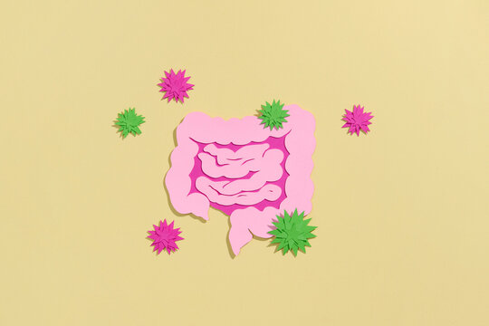 Paper cut style of bad intestinal environment.