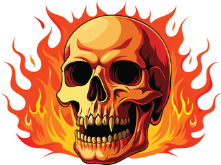 Human skull head with open jaw