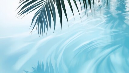A leafy green palm tree is reflected in the water. The water is calm and clear, and the palm tree is the main focus of the image