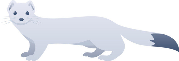 Fototapeta premium Stoat or Eurasian ermine realistic vector illustration. Cute weasel color graphic isolated on white background. Arctic animal.