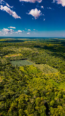 Rio Amazônia Mangue Ilha Marajó Salvaterra Açaí Floresta Biodiversidade Fauna Flora Natureza...