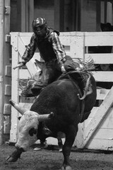 Black & White Rodeo | Vintage Rodeo 