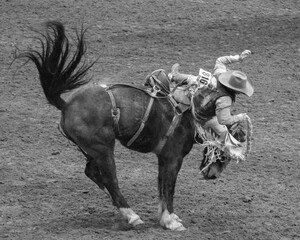 Black & White Rodeo | Vintage Rodeo 