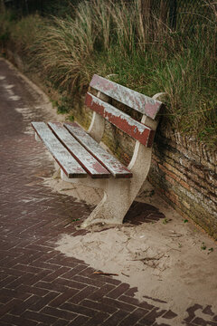 Old weathered bench by a sandy path