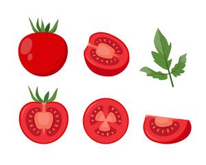 Set of tomatoes and slices. Whole and parts of farm tomatoes plant icons. Organic vegetables vegetarian food. Vector illustration isolated on white background.