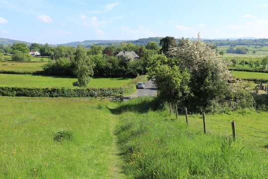 Summertime scenery in the English countryside.