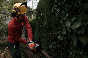 gardener pruning hedges