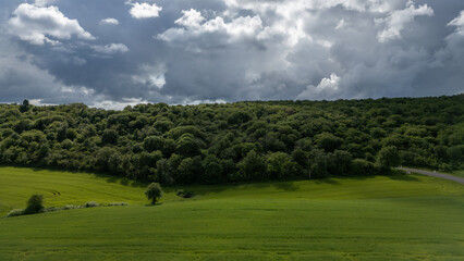 une forêt sous un ciel sombre et nuageux