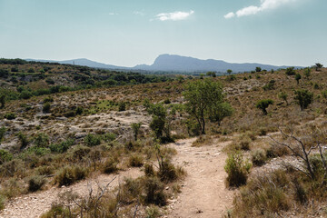 une plaine désertique avec des montagnes en fond