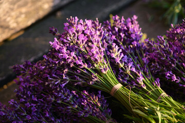 beautiful bouquets of fresh lavender close-up