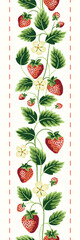 Cottage Core Garden Strawberries With Stitches Vector Vertical Seamless Pattern Border. Vintage Feed Sack Backdrop With Nostalgic Retro Design. Fresh Summer Fruit Background