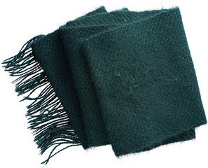 LAYER-LAB_0808182124_LC  - Ready to use Premium PNG Cutout Isolated image