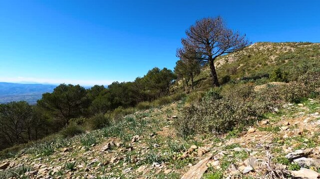 Panoramic view on hiking trail to Maroma peak, Sierra Tejeda, Spain 