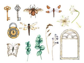 Large set of vintage elements. Old keys, Padlock, beetle, Dragonfly, Butterfly, White flowers, eucalyptus branches and Dry meadow grass. Watercolor illustrations