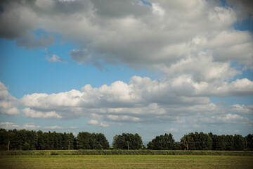 clouds over the field