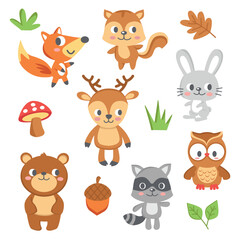 Forest animals