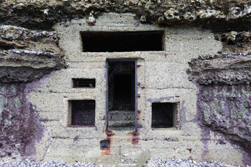 Fortified bunker ingrown in Normandy cliff