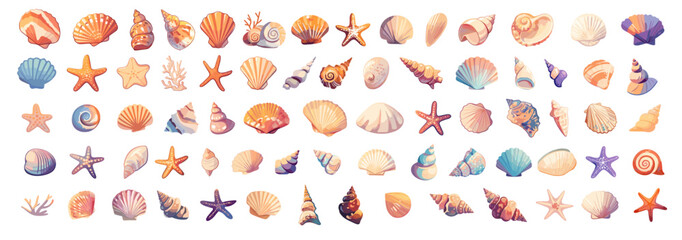 Cartoon sea shell set. Ocean marine tropical seashell for aquarium, starfish mollusks oyster clam vector illustration
