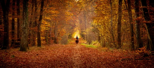 Fototapete Wasserfälle Person riding a horse in a forest during the autumn with the floor full of orange leaves    © nicoescobarphoto