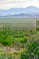 Fototapeta premium Driving through Arizona and the scenary was incredible. The colors, depth of shadows and valley with the mountain range in the distance held us in awe.