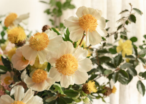 White and Green Summer Florals 