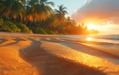A close-up of warm sand with rippling patterns, bathed in golden light as the sun sets behind a line of palm trees