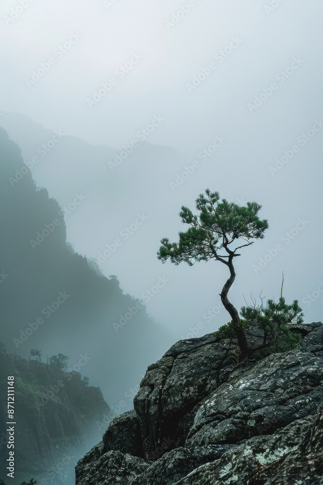 Aufkleber a single tree stands at the top of a mountain